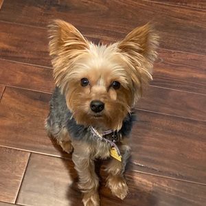 Meet your Posher, Chloe